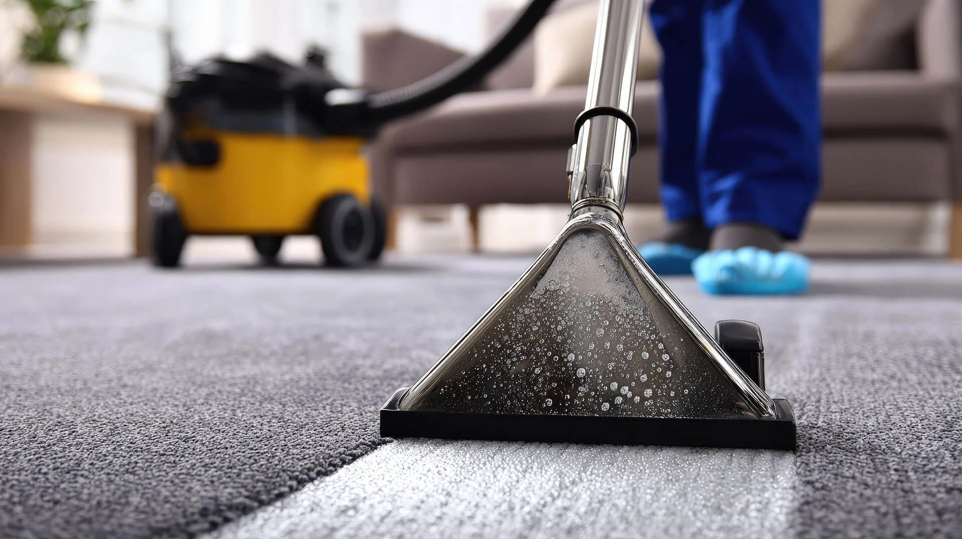 Carpet, Upholstery & Rug Cleaning