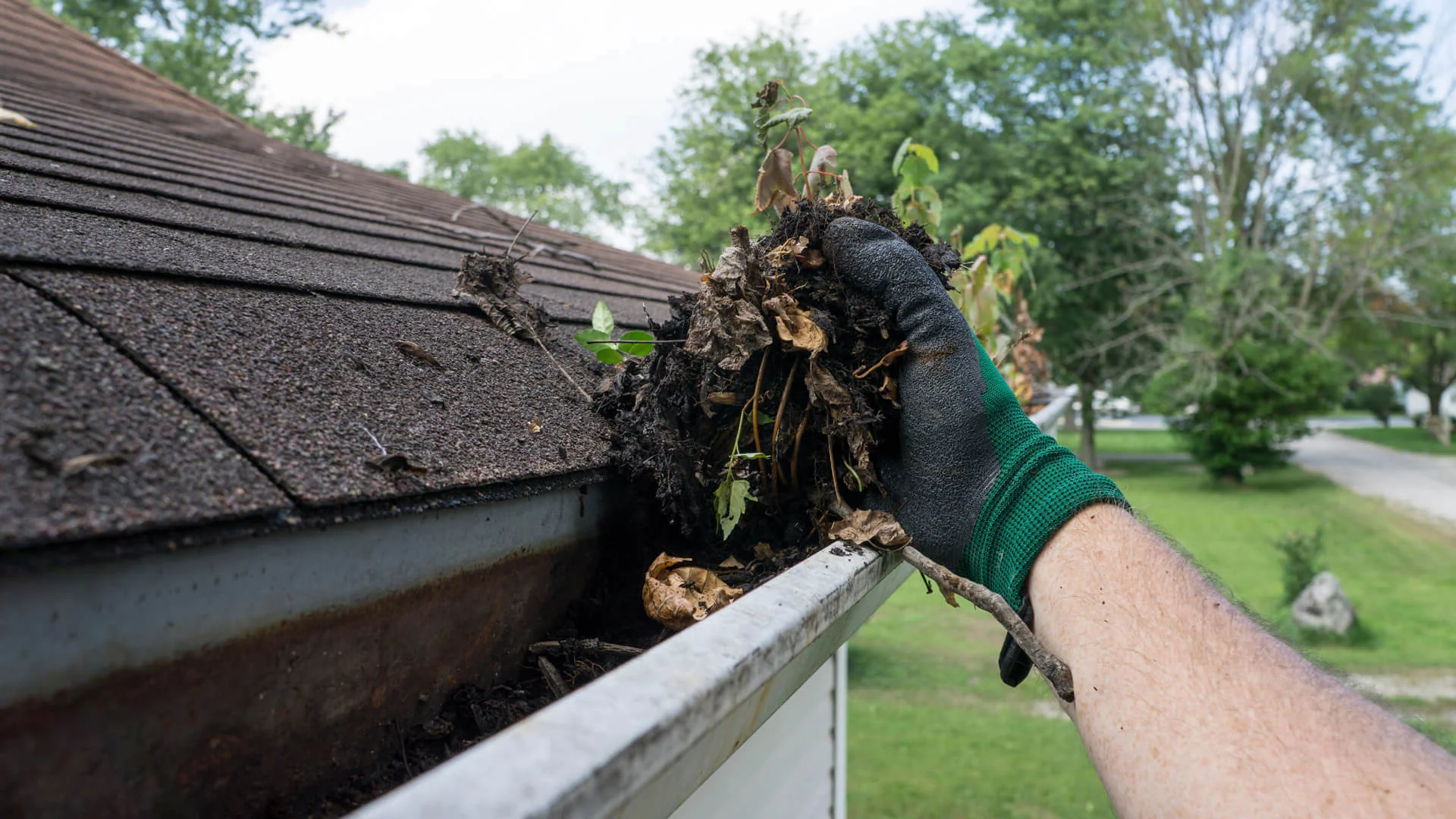 Gutter Cleaning